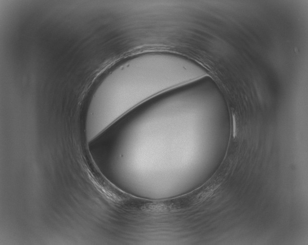 X0000054460253200507291029