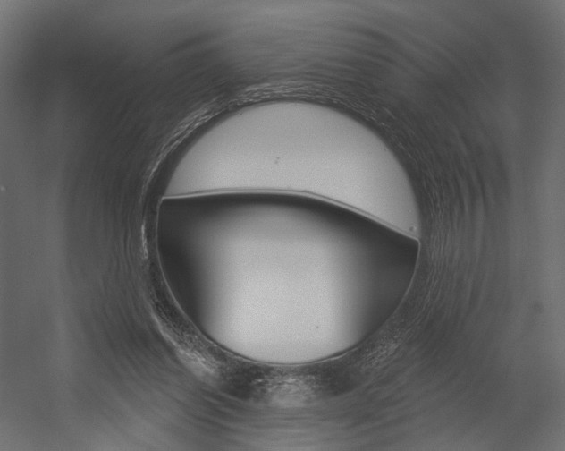 X0000054460254200507291029