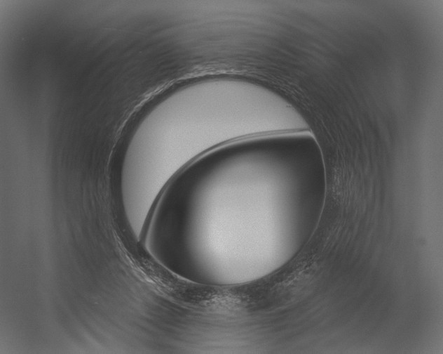 X0000054460256200507291029