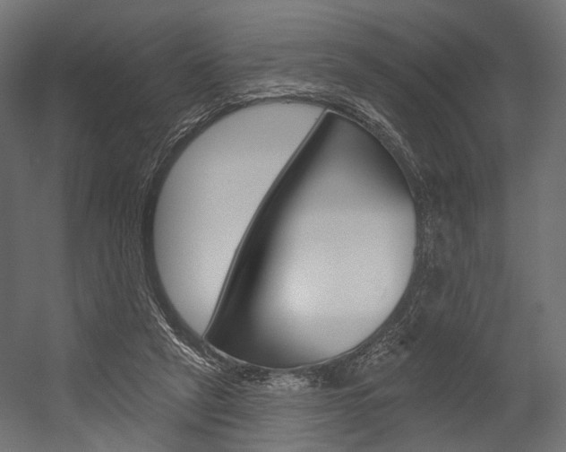 X0000054460257200507291029