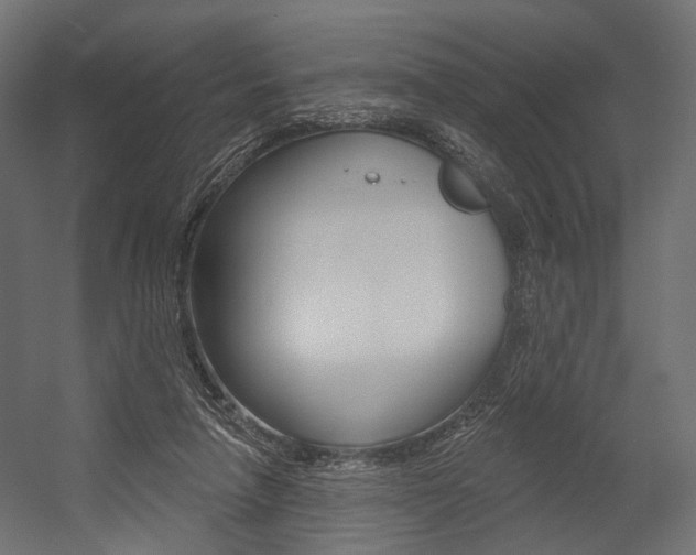 X0000054460258200507291029