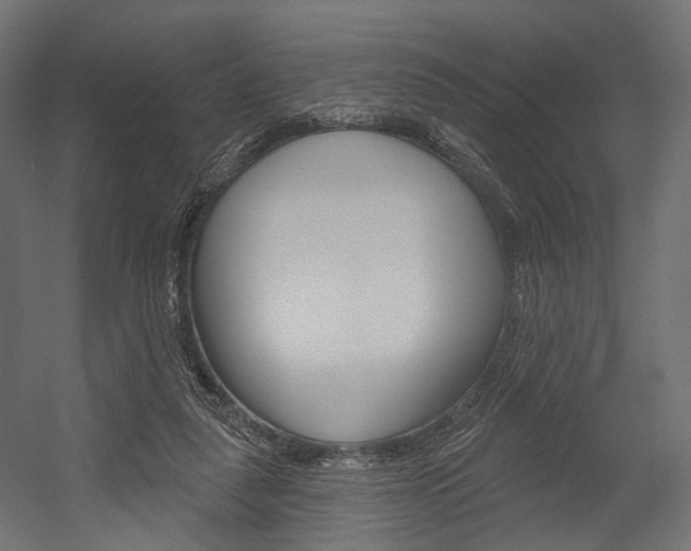 X0000054460259200507291029