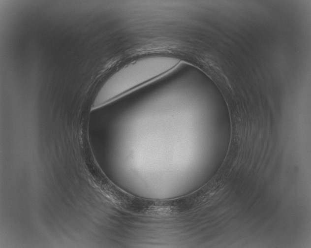 X0000054460260200507291029