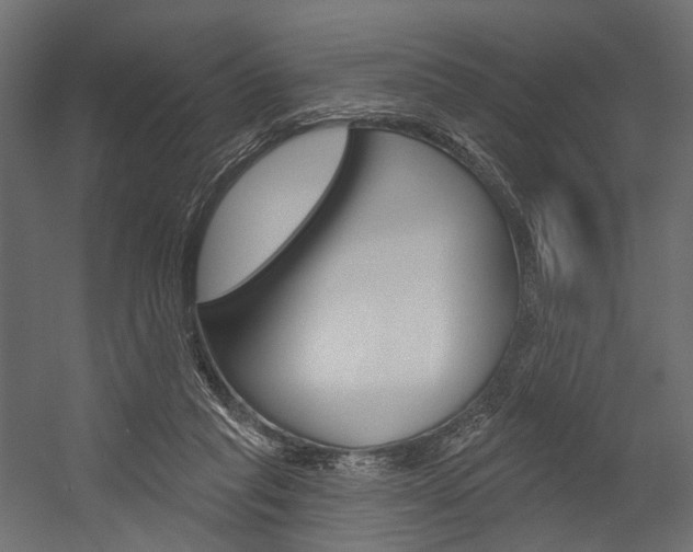 X0000054460261200507291029