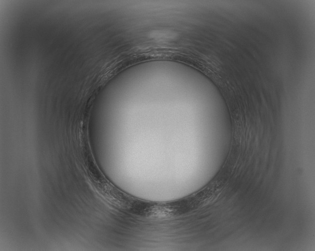 X0000054460263200507291029