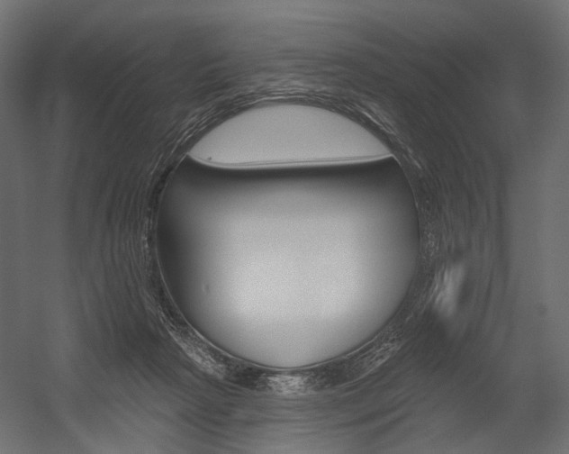 X0000054460265200507291029