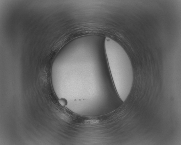 X0000054460266200507291029