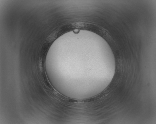 X0000054460267200507291029
