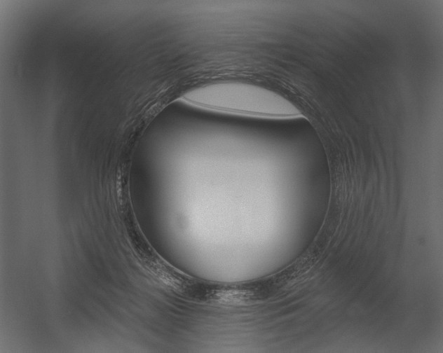 X0000054460268200507291029