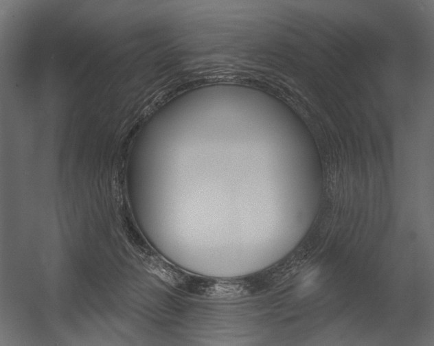 X0000054460270200507291029