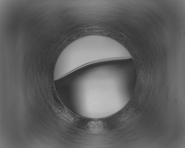X0000054460271200507291029