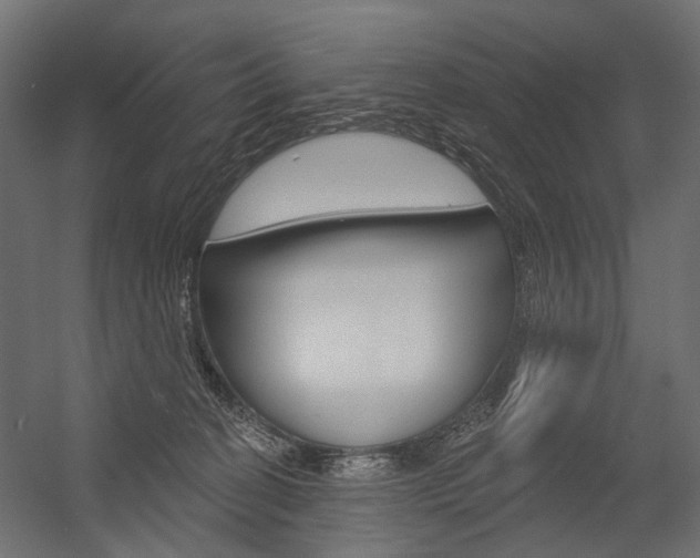 X0000054460274200507291029