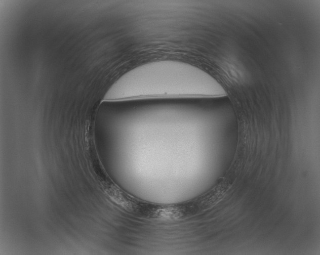 X0000054460275200507291029