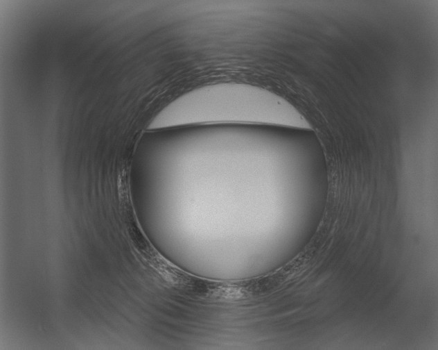 X0000054460276200507291029