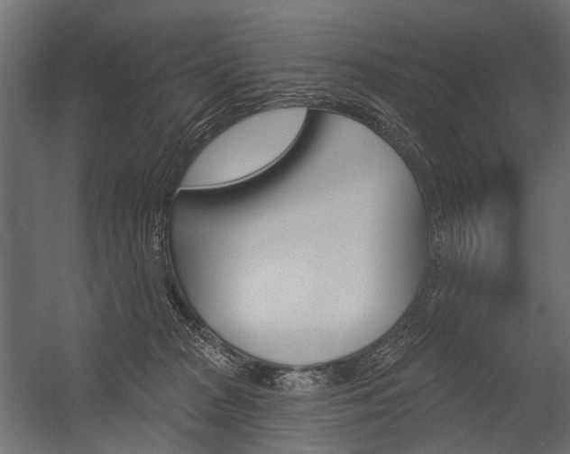 X0000054460277200507291029
