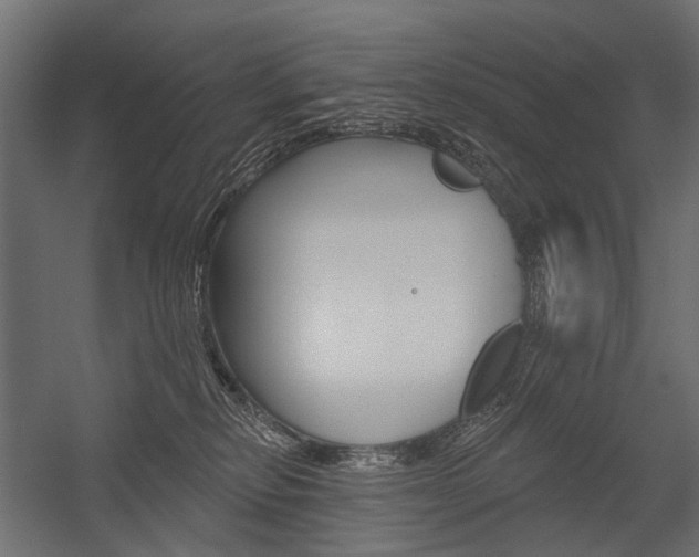 X0000054460278200507291029