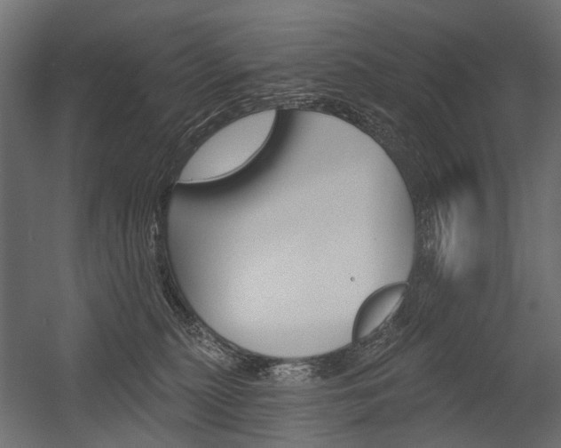 X0000054460279200507291029