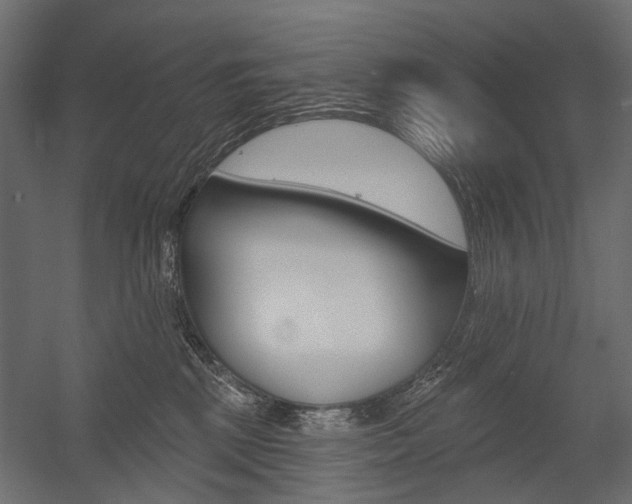 X0000054460281200507291029