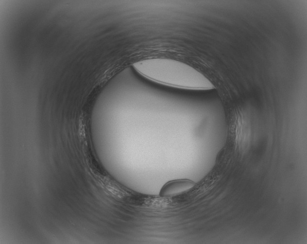 X0000054460282200507291029