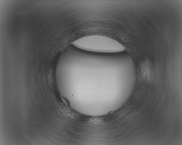 X0000054460283200507291029