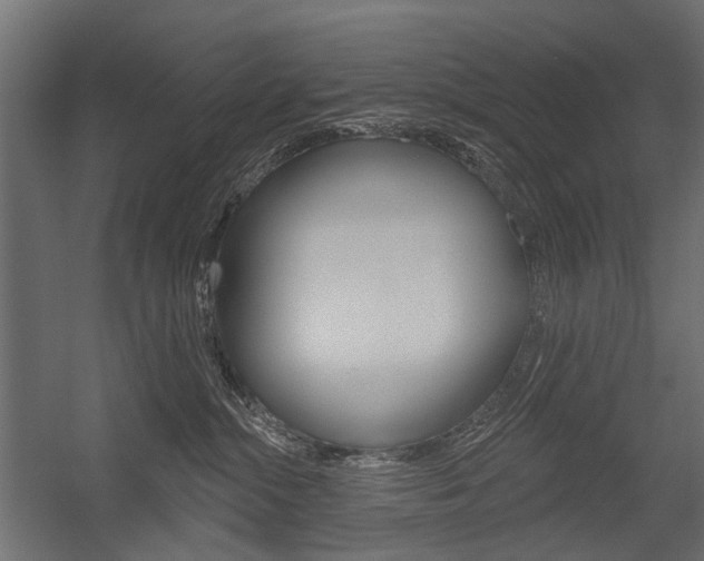 X0000054460284200507291029