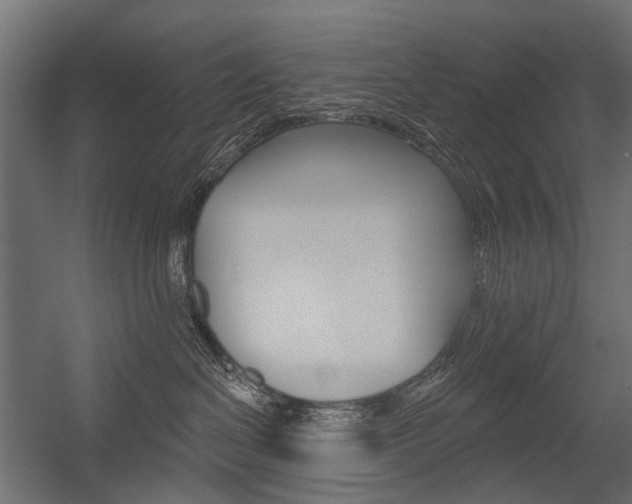 X0000054460286200507291029