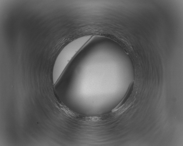 X0000054460288200507291029