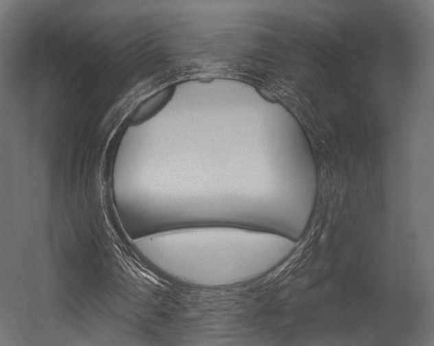 X0000054460290200507291028