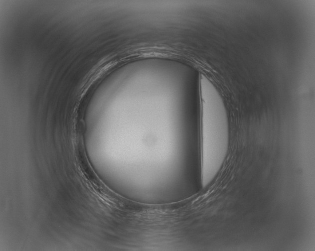 X0000054460291200507291028