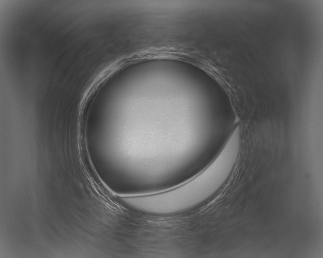 X0000054460293200507291028