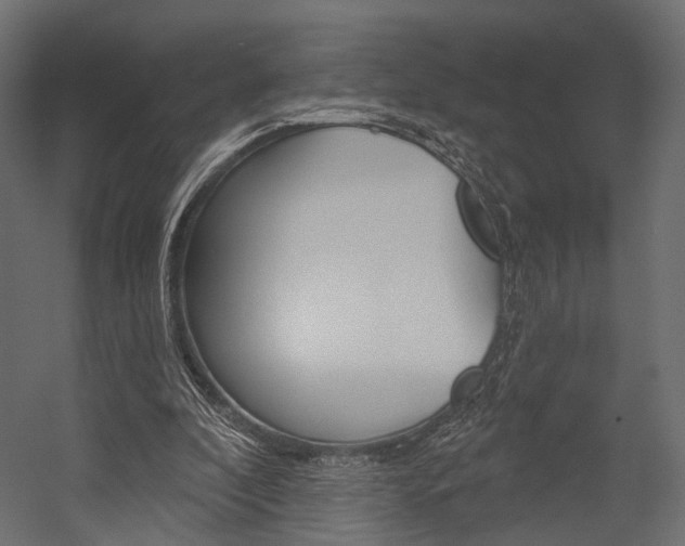 X0000054460296200507291028