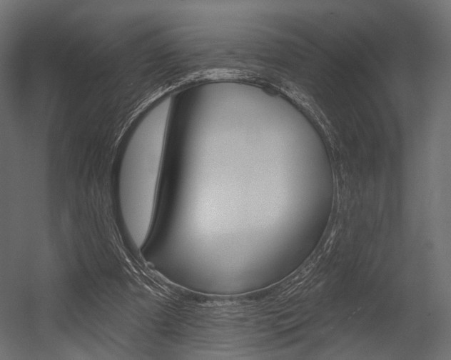 X0000054460297200507291028