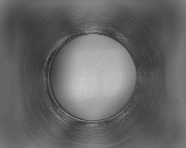 X0000054460298200507291028