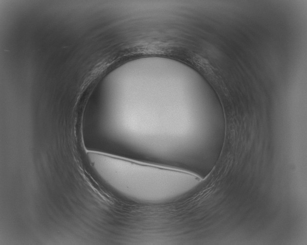 X0000054460299200507291028