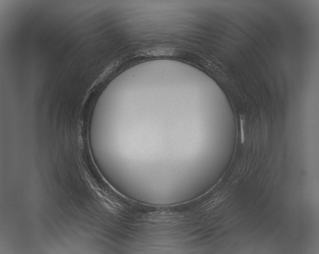 X0000054460300200507291028