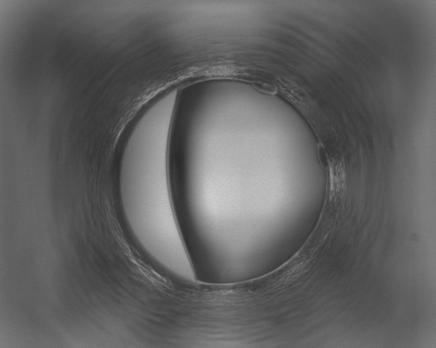 X0000054460301200507291028