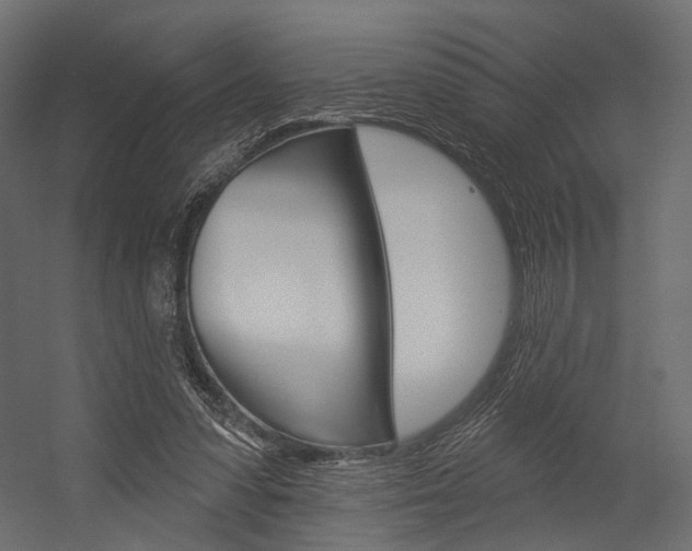 X0000054460303200507291028