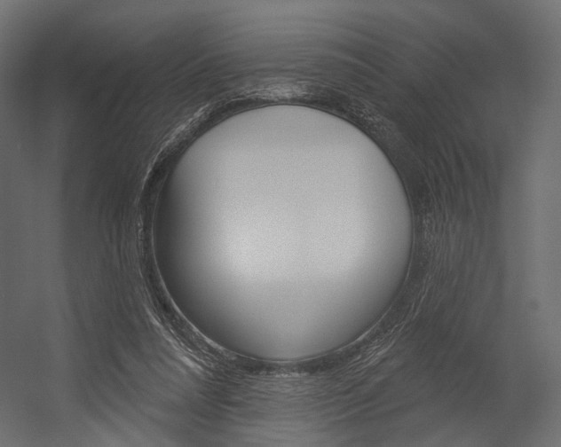 X0000054460304200507291028