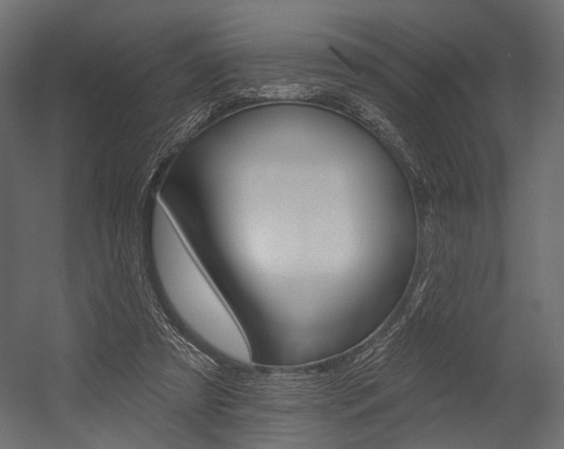 X0000054460305200507291028