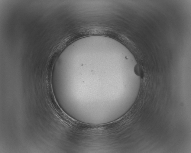 X0000054460306200507291028