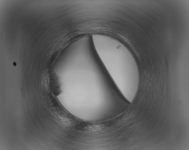 X0000054460307200507291028
