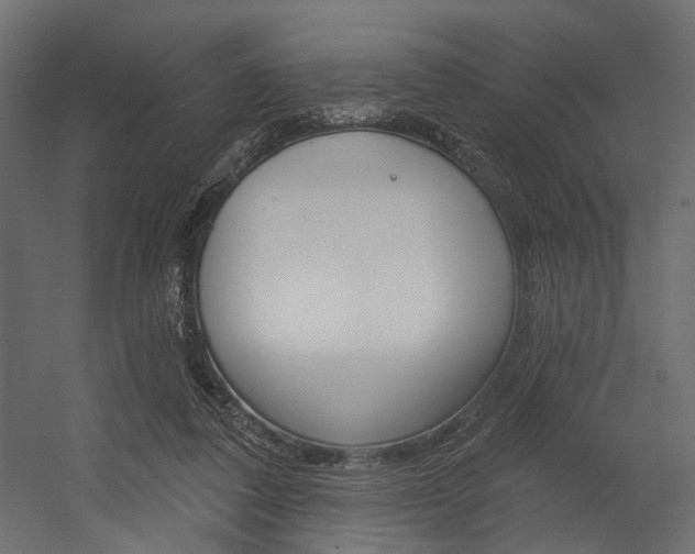 X0000054460308200507291028