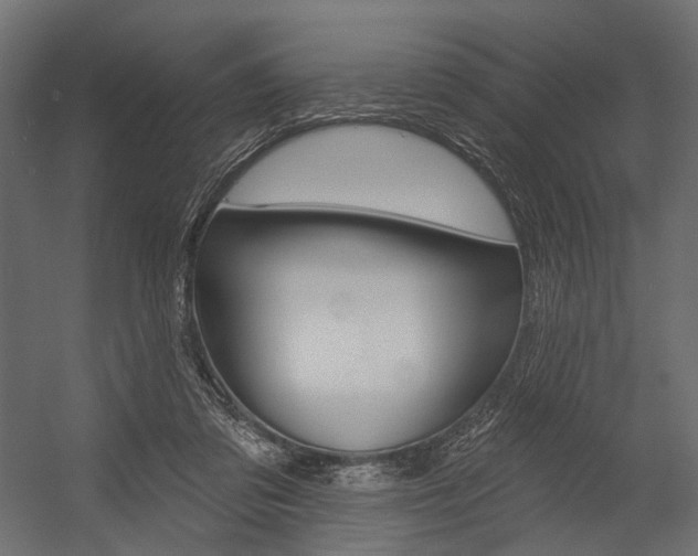 X0000054460309200507291028