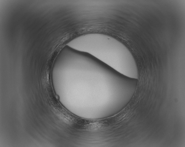 X0000054460310200507291028