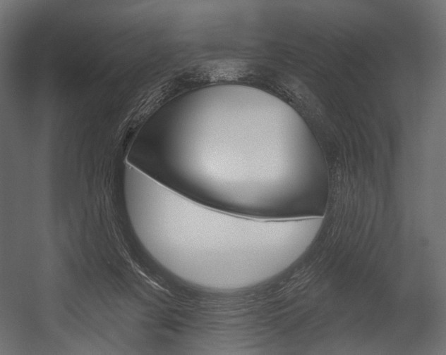 X0000054460311200507291028