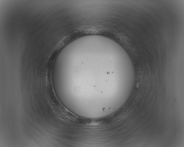 X0000054460312200507291028
