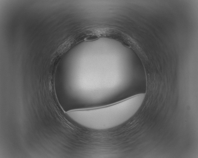 X0000054460313200507291028