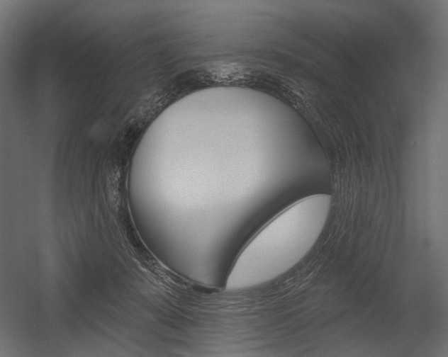 X0000054460319200507291028
