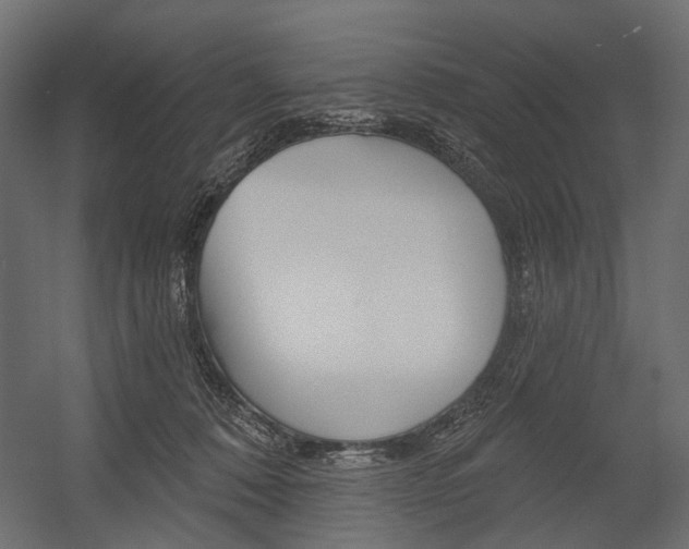 X0000054460320200507291028