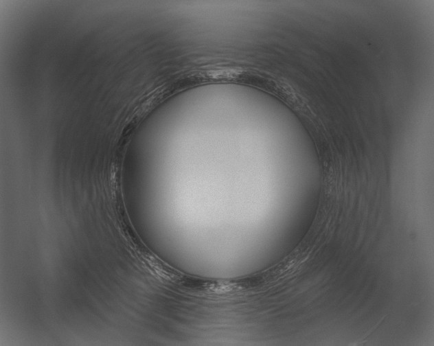 X0000054460321200507291028